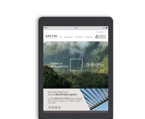 Litio Diseño - Spatio Web